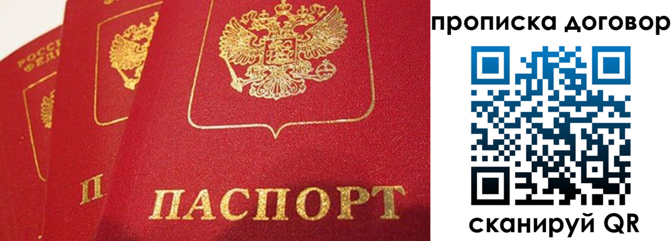 найти адрес прописки в Тайге